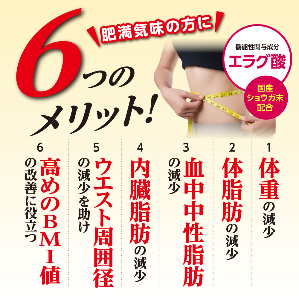 スリムバリアV6【送料無料】60粒・30日分（3個組）【機能性表示食品