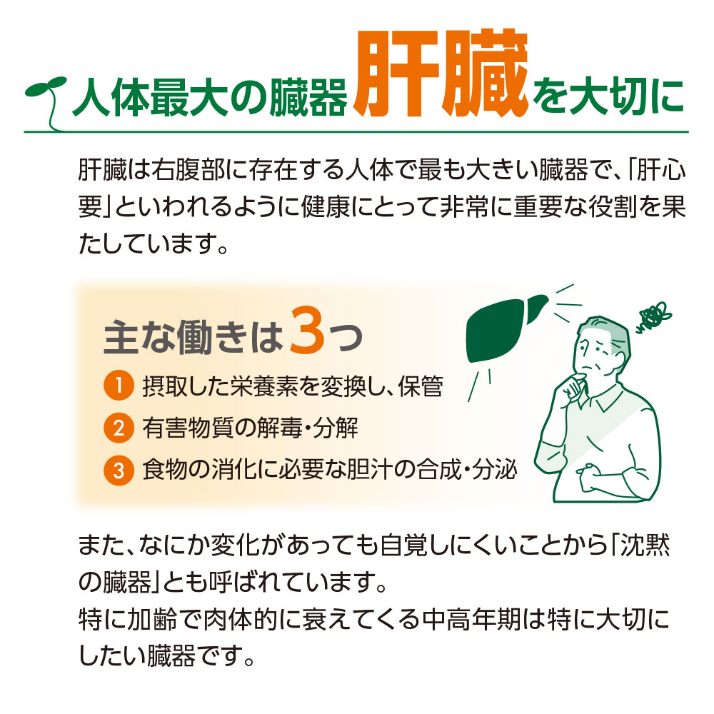 健康習肝 スルフォラファン【送料無料】60粒・30日分（5個組）【機能性