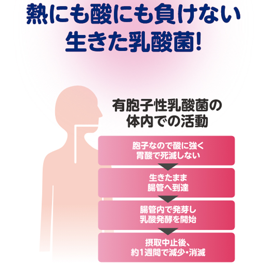 まいにち快通 60粒（30日分）5個組【機能性表示食品】お通じを改善する