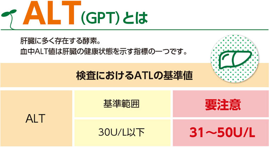 健康習肝 スルフォラファン【送料無料】60粒・30日分（5個組）【機能性